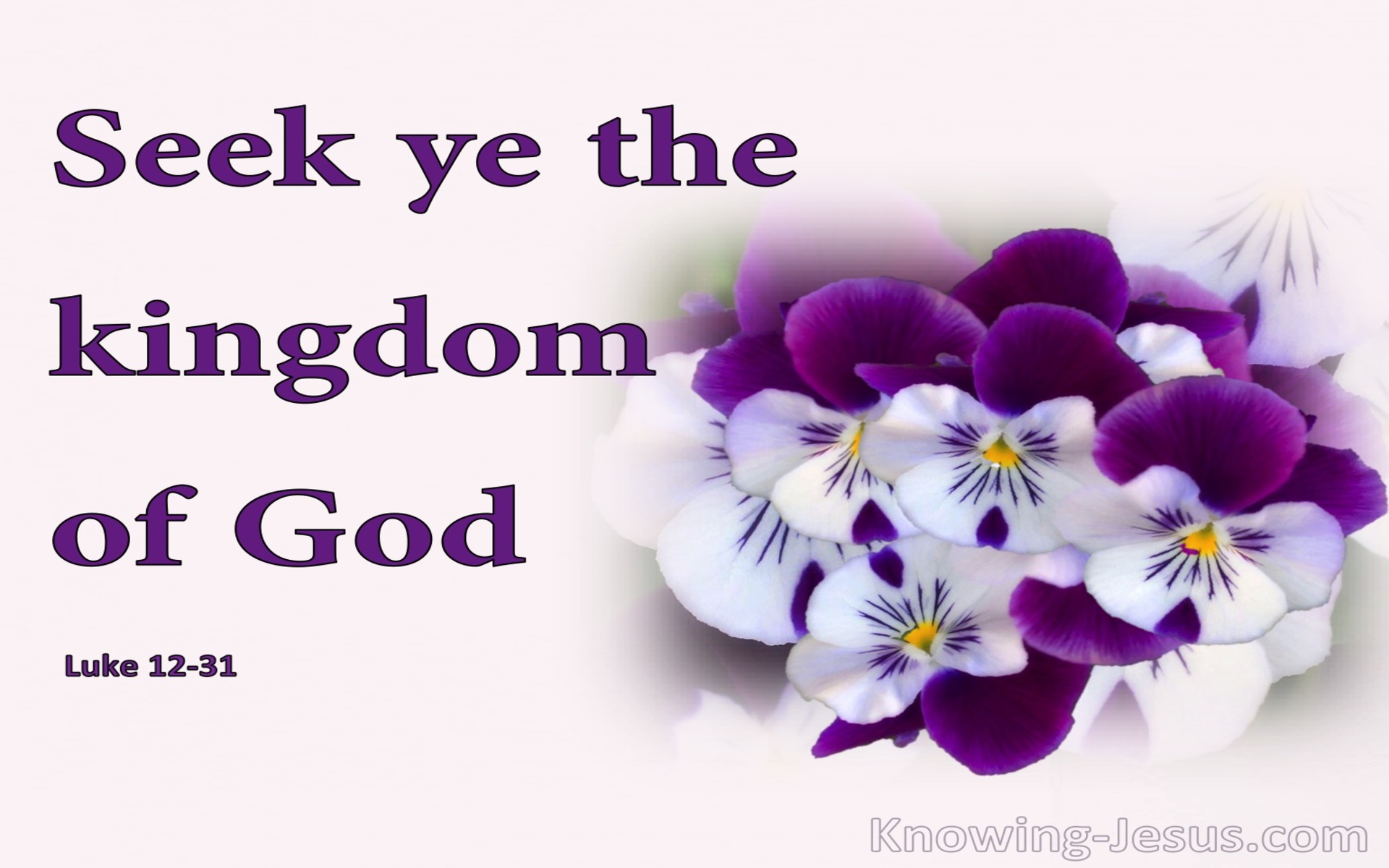 Luke 12:31 Seek Ye The Kingdom Of God (purple)
